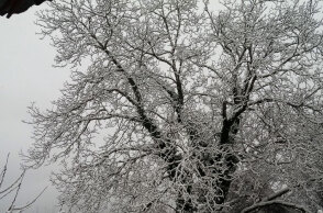 Κακοκαιρία