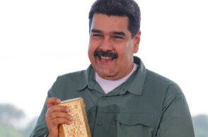 maduro-gold