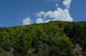 Ελληνικό Κτηματολόγιο