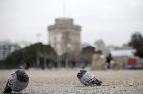 Περιστέρια