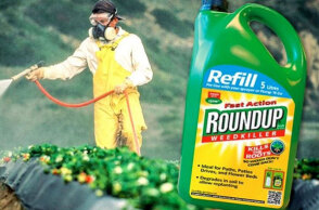 roundup