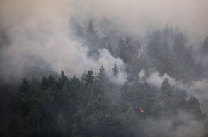 Δασική πυρκαγιά