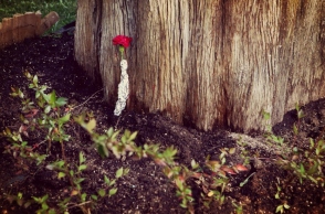 Εκδήλωση μνήμης στο Σύνταγμα, στο σημείο που άφησε την τελευταία του πνοή ο συνταξιούχος φαρμακοποιός Δ. Χριστούλας / Ιntime News / Kαπάνταης Δημήτρης