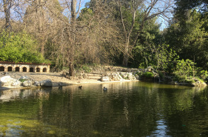 Canon PowerShot SX70 HS