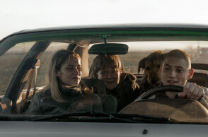 «Μύγες του χειμώνα» (Winter flies)