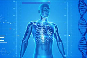human-skeleton-163715_1280.jpg