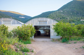 Θέατρο υπάρχει όπου υπάρχουν θεατές
