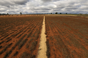 Ξηρασία στην Αυστραλία