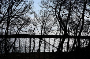 Πυρκαγιά στο Μάτι