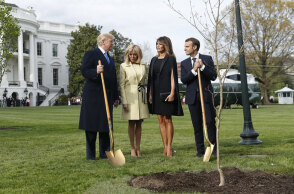 Ντόναλτ Τραμπ και Εμανουέλ Μακρόν φυτεύουν μια βελανιδιά στον Λευκό Οίκο