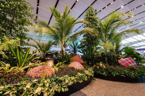 changi-airport
