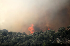 Δασική πυρκαγιά