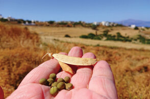 Φωτό: ΓΙΑΝΝΗΣ ΓΑΒΑΛΑΣ