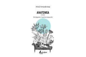 Ανατομία