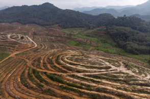 Αεροφωτογραφία της αποψίλωσης δασών στη Βραζιλία