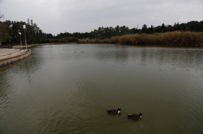 Πάρκο Τρίτση