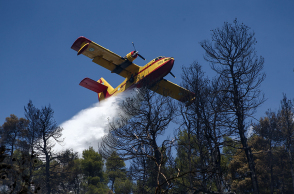 Φωτιά στην Εύβοια