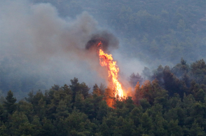 Φωτιά σε δάσος