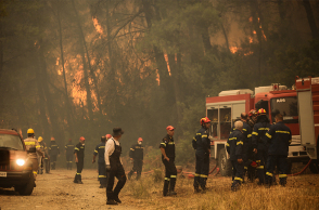 Φωτιά στην Εύβοια καίει πευκοδάσος Natura
