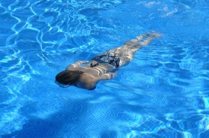 swim-422546_1280.jpg