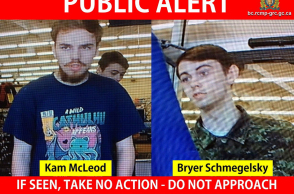 Καμ Μακλίοντ, Μπράιερ Σμεγκέλσκι