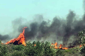 Ελαφόνησος - Φωτιά
