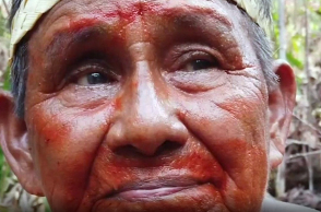 Αυτόχθονας του Αμαζονίου