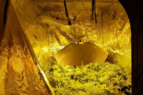 cannabis-house-thessaloniki-exo.jpg