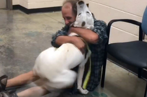 Ο άστεγος Άντονι και ο Μπόμπο