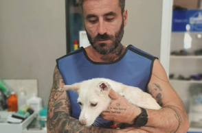 Γιώργος Μαυρίδης