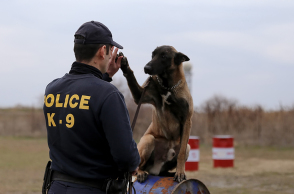 Σκύλος αστυνομίας