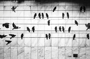 Σταθμός Μετρό Μέγαρο Μουσικής