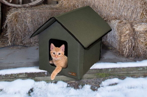 cat_house_1_.jpg