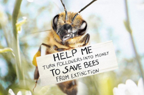 the-worlds-first-influential-bee-is-an-activist-for-the-preservation-of-its-species-5db7e48d50534_880.jpg
