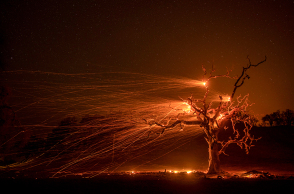 Η πυρκαγιά με το όνομα Kincade