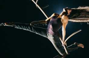 Δρακοδόντι