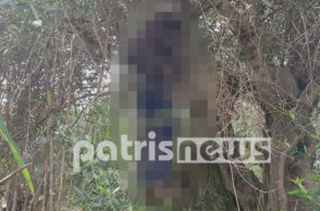 Άνδρας βρέθηκε κρεμασμένος σε δέντρο στον Πύργο