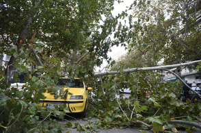 Πτώσεις δέντρων στη Θεσσαλονίκη