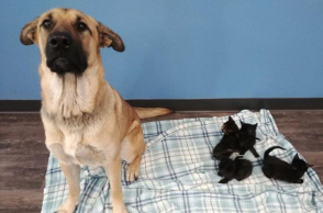 Η ηρωίδα Σερένιτι