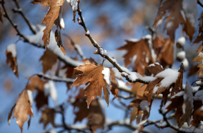 Χιονόπτωση