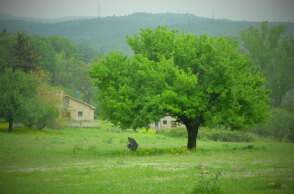 Ένη Κούκουλα «Κρυφός κήπος», Βιβλιοπωλείο – Αίθουσα Τέχνης Φωταγωγός