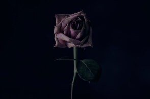 © Sharon McCutcheon on Unsplash