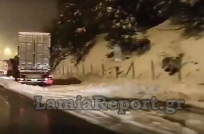 Δίπλωσαν νταλίκες στην Αθηνών - Λαμίας εν μέσω χιονιά