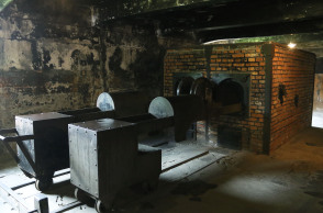 ΑΟΥΣΒΙΤΣ, ΜΠΙΡΚΕΝΑΟΥ