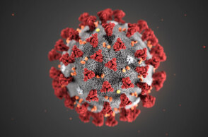 coronavirus.jpg