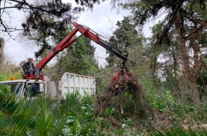 Βοτανικός Κήπος