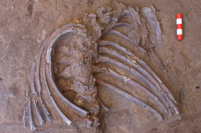 Νεάντερταλ