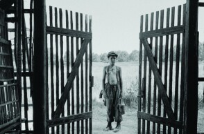 Κριτική της ταινίας «Το βαμμένο πουλί»