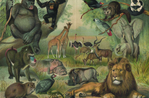 Το «The sea between my soul» είναι ένα ροκ μιούζικαλ/ εγκατάσταση μαύρου χιούμορ και παραλογισμού