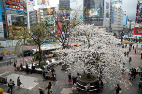 Κορωνοϊός στο Τόκιο